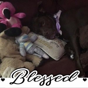 Meet your Posher, Kim